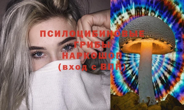 гидра Ростов
