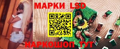 дмт Донской