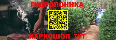 дмт Донской