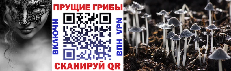 Галлюциногенные грибы GOLDEN TEACHER  OMG рабочий сайт  Тобольск  наркота 
