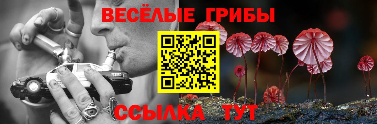 что такое наркотик  Галлюциногенные грибы Psilocybine cubensis  Тобольск  Вход с VPN  Псилоцибиновые грибы прущие грибы 